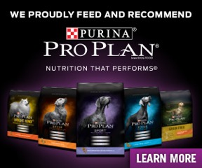 Purina Pro Plan Nutrition Ad