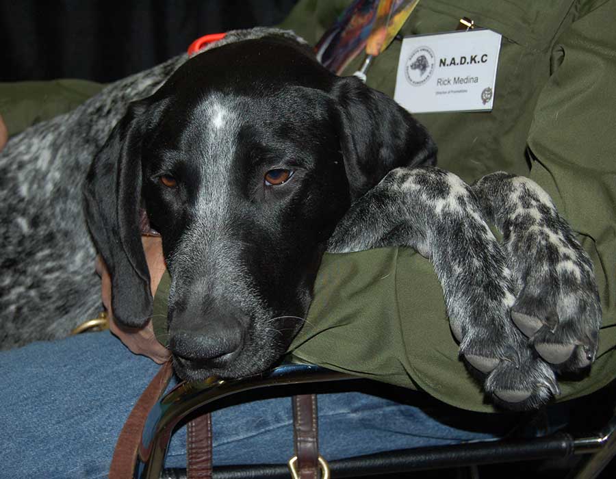 DK at Pheasant Fest